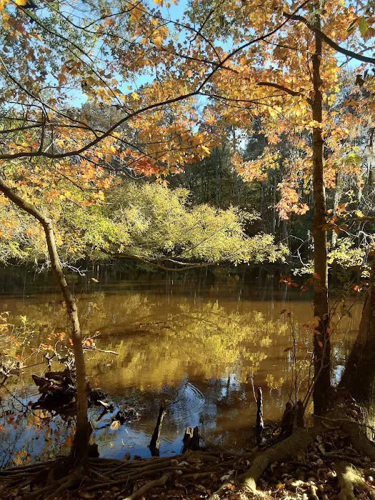 Longleaf Campground Picture 3