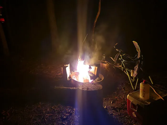 Longleaf Campground Picture 5