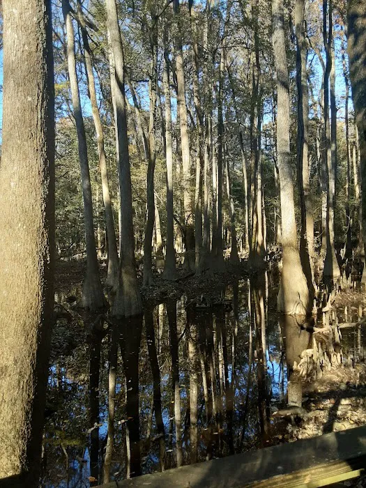 Longleaf Campground Picture 6