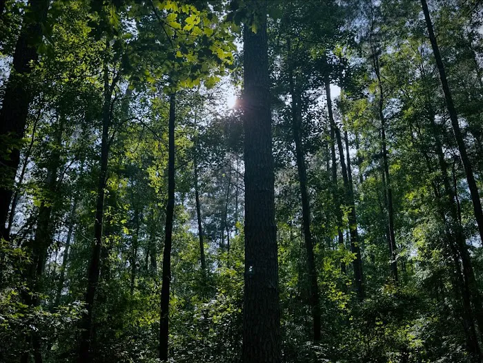 Longleaf Campground Picture 1