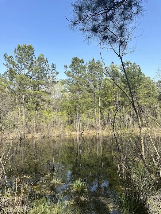 Longleaf Campground Picture 7