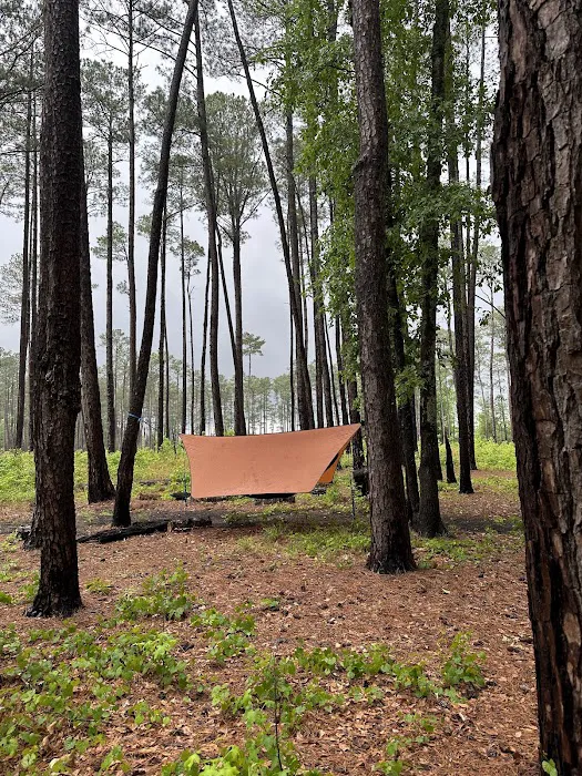 Bluff Campground Picture 6