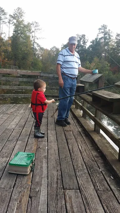 Lick Fork Lake Campground Picture 9