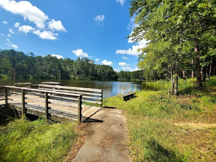 Lick Fork Lake Campground Picture 4