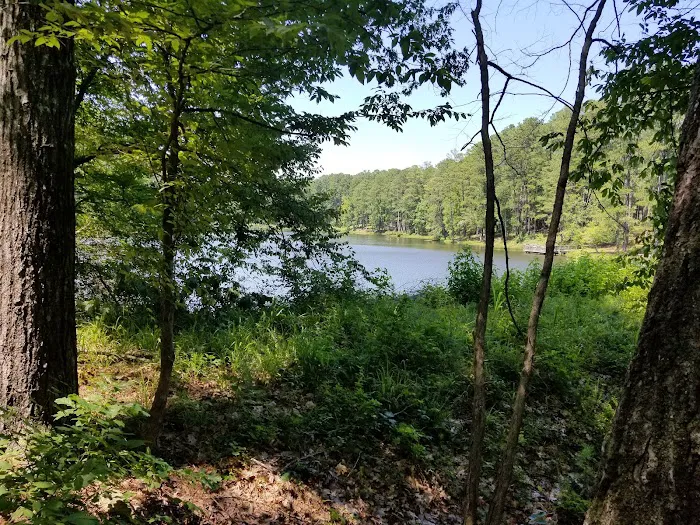 Lick Fork Lake Campground Picture 8