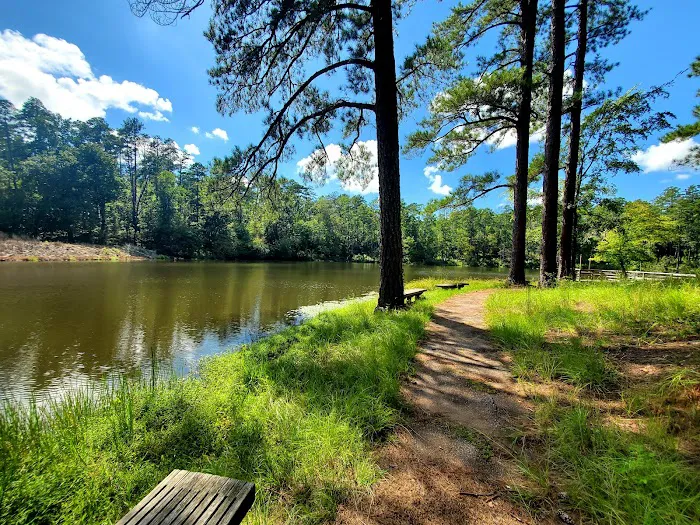 Lick Fork Lake Campground Picture 6