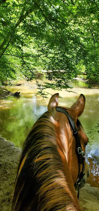 Fell Hunt Campground Picture 10