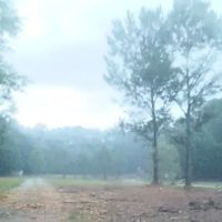 Fell Hunt Campground ico