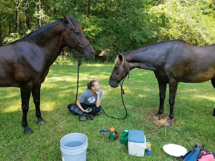 Fell Hunt Campground Picture 6