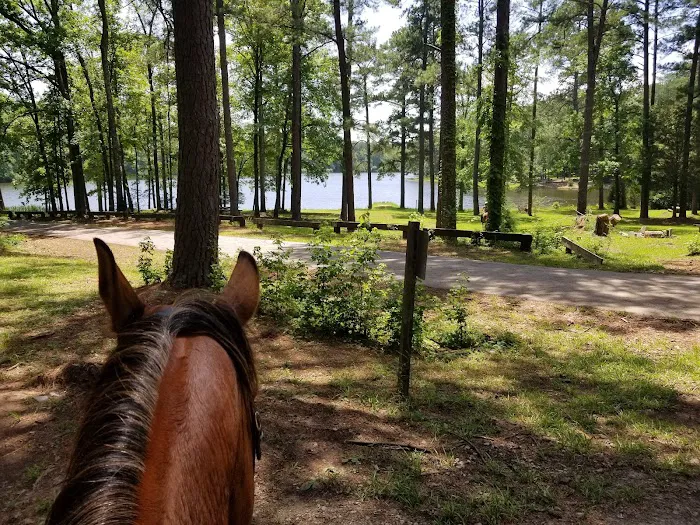 Parsons Mountain Lake Campground Picture 5