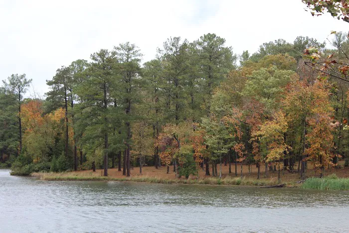 Parsons Mountain Lake Campground Picture 1