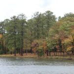 Parsons Mountain Lake Campground