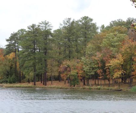 Parsons Mountain Lake Campground