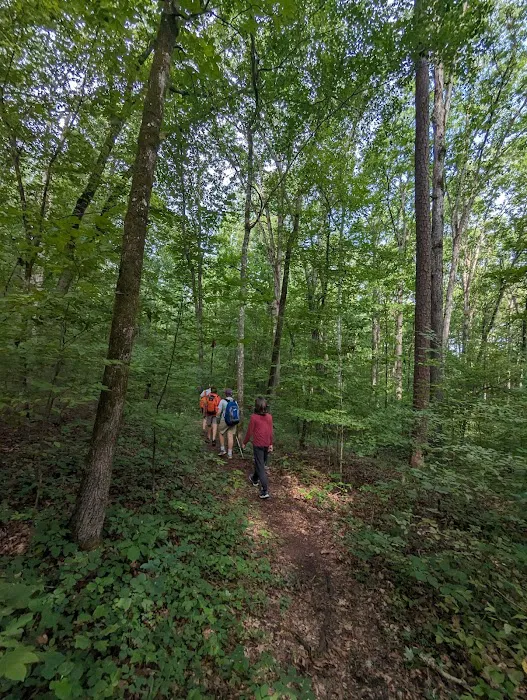 Parsons Mountain Lake Campground Picture 4