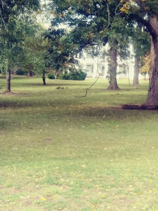 Parsons Mountain Lake Campground Picture 6