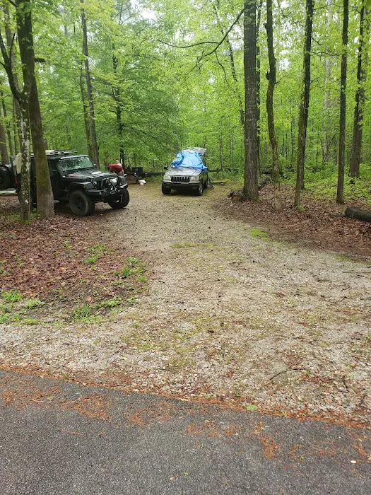 Parsons Mountain Lake Campground Picture 10