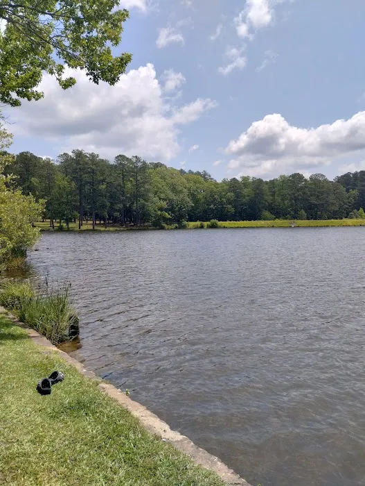 Parsons Mountain Lake Campground Picture 8