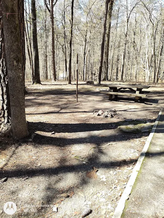 Parsons Mountain Lake Campground Picture 9