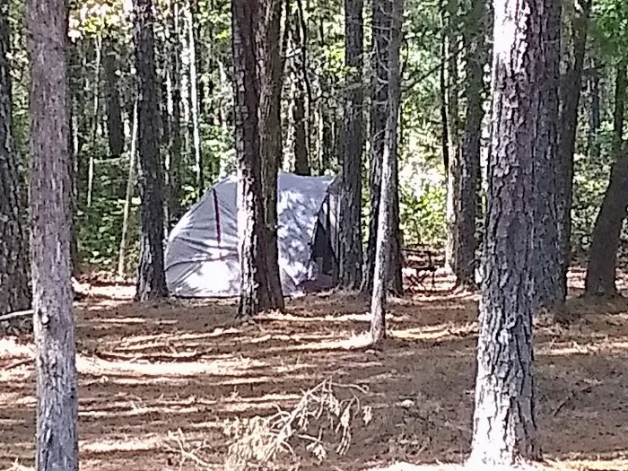 Kenn's Store & Campground Mandy's Cafe Picture 7