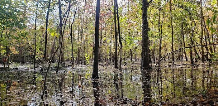 Morrow Bridge Seasonal Camp Picture 4