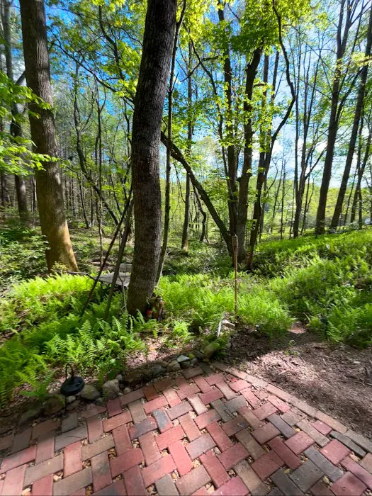 Hidden Acres Mountain Camping Picture 5