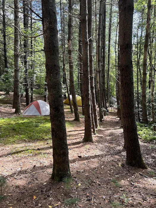 Hidden Acres Mountain Camping Picture 4