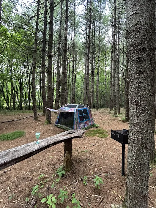 Hidden Acres Mountain Camping Picture 9