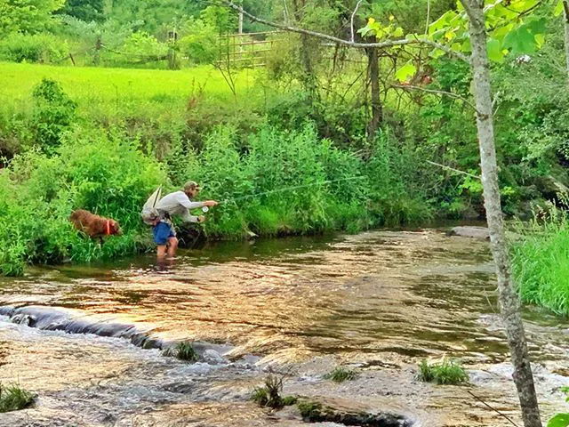 At the Ridge Picture 4