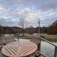 Valley Bear Farms ico