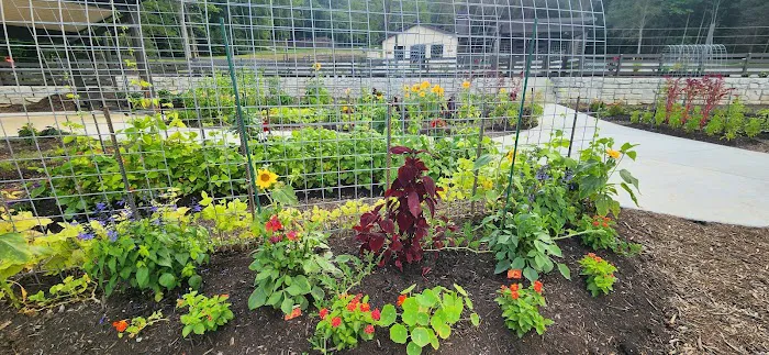 Valley Bear Farms Picture 4