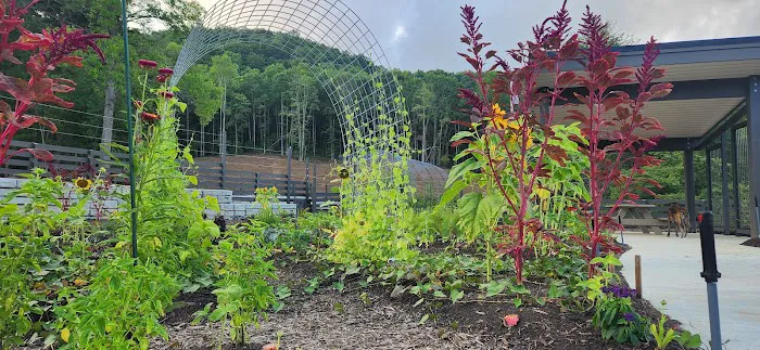 Valley Bear Farms Picture 5