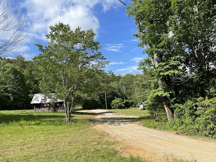 Valley Bear Farms Picture 10