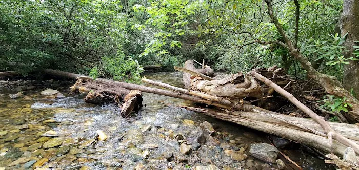 Cove Creek Group Campground Picture 8