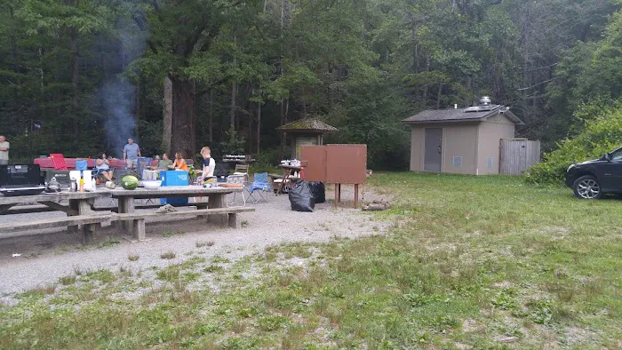 Cove Creek Group Campground Picture 6