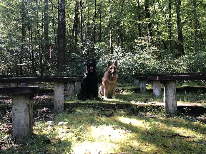 Cove Creek Group Campground Picture 2