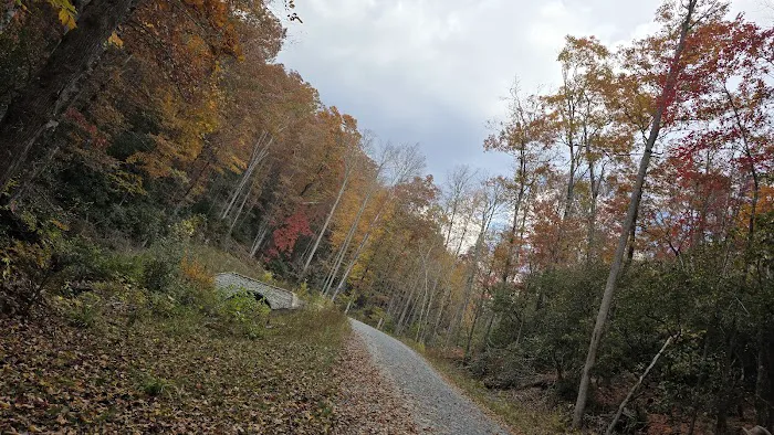 Cove Creek Group Campground Picture 3