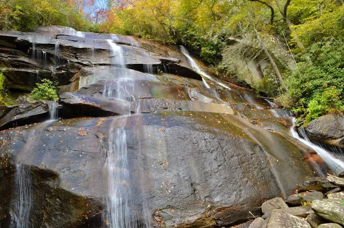 Cove Creek Group Campground Picture 1