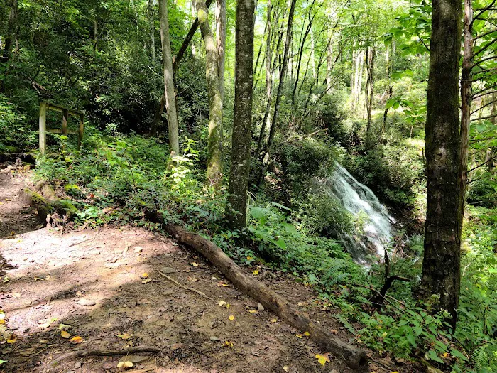 Cove Creek Group Campground Picture 9