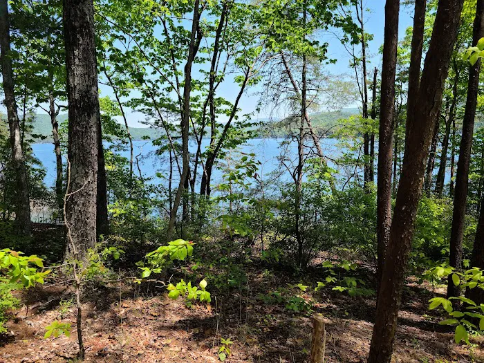 Double Springs Boat-in Campsite Picture 7