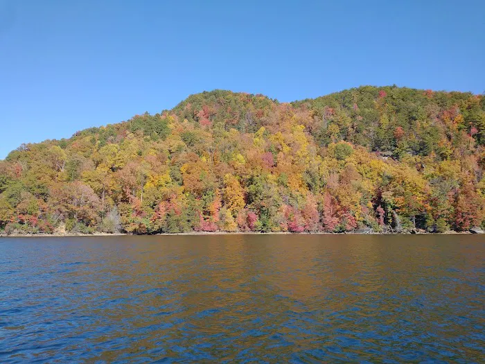 Double Springs Boat-in Campsite Picture 6