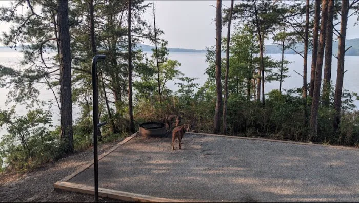 Double Springs Boat-in Campsite Picture 4