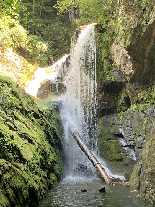 Double Springs Boat-in Campsite Picture 2