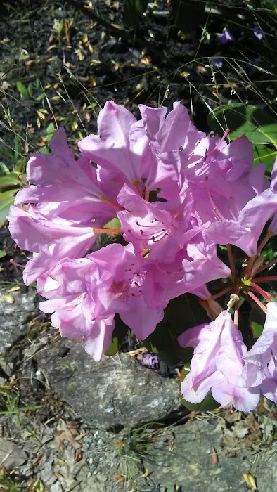 Jocassee RV Camp Picture 10