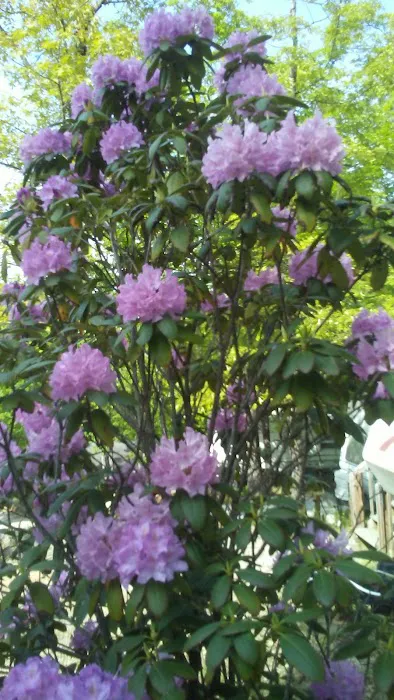 Jocassee RV Camp Picture 8