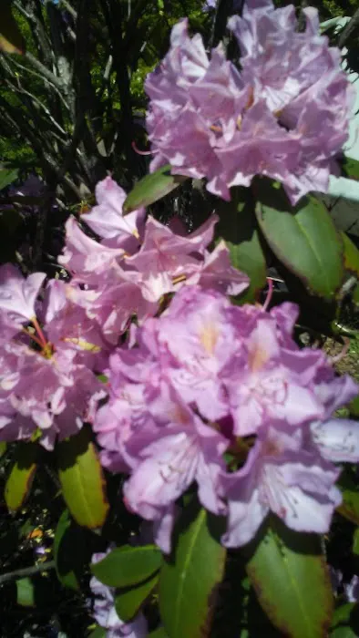 Jocassee RV Camp Picture 5