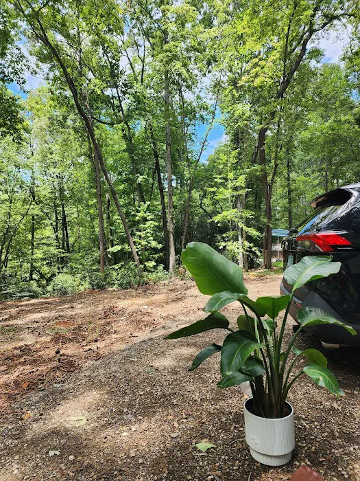 Boone Creek Campground Picture 5