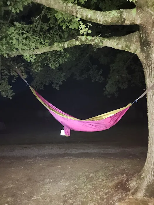 Boone Creek Campground Picture 8