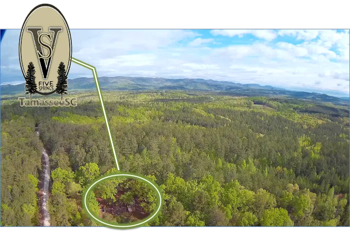 Camp 5 Springs Picture 1