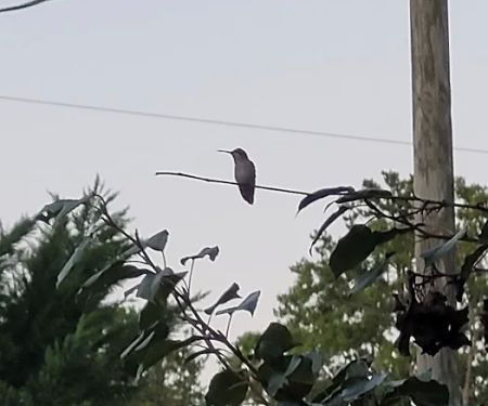 Crowe's legacy campground