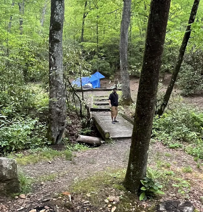 Wash Creek Campsite Picture 1